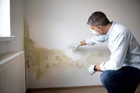 Best Mold Damage Restoration  in Miller Place, NY